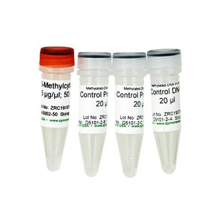 Zymo Research Methylated/Non-Methylated Control DNA & Primer Set ZD5101-2
